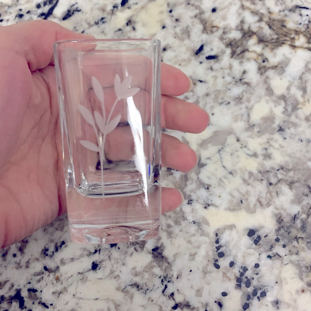 Princess House Shot glass set of 2